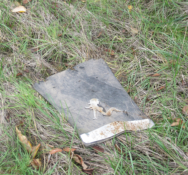 Mudflap