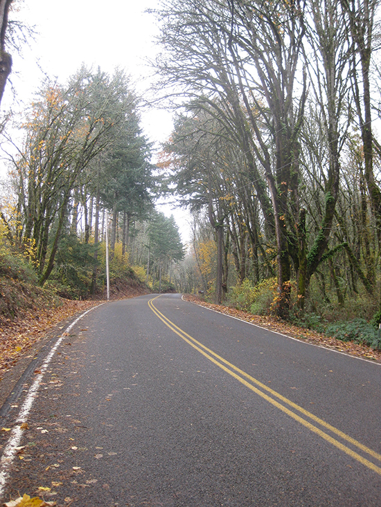 Gibson Road