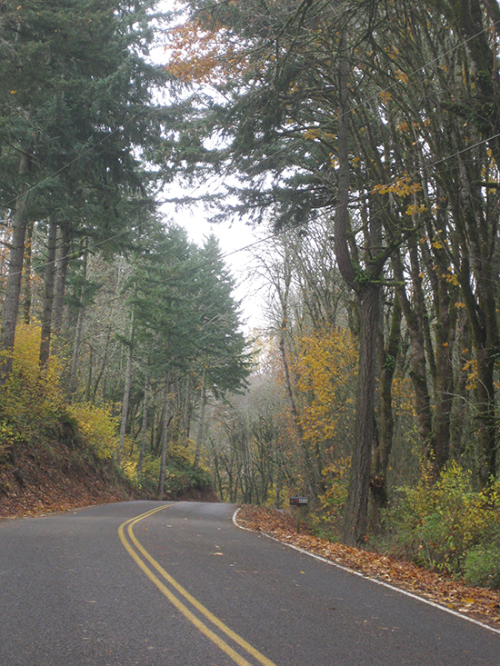 Gibson Road