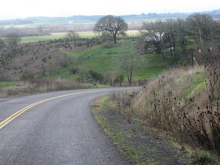 Oak Drive descent