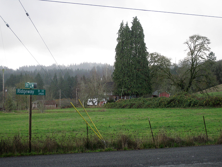 Ridgeway Rain