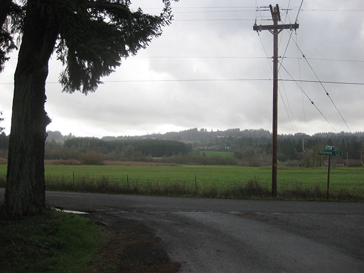 Ridgeway Rain