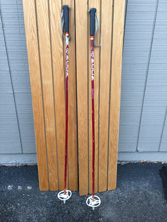 Moon Bamboo ski poles