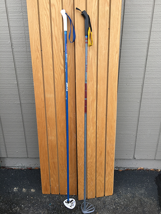 Trak PMS ski poles