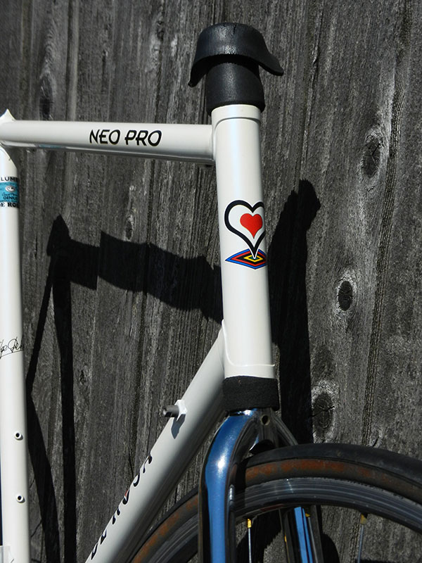 De Rosa head tube