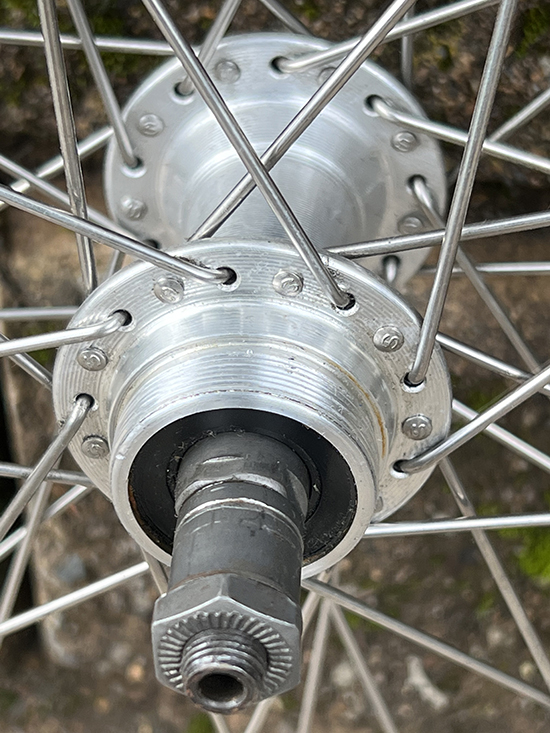 Alloy freewheel rear hub
