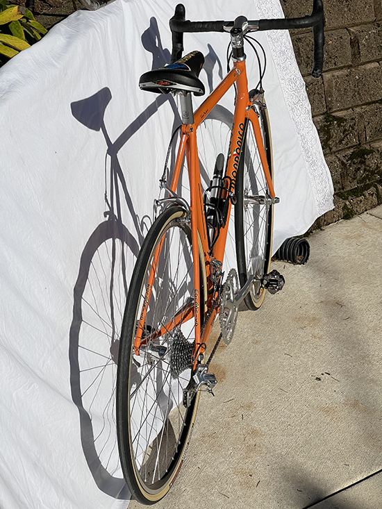 Mondonico bike